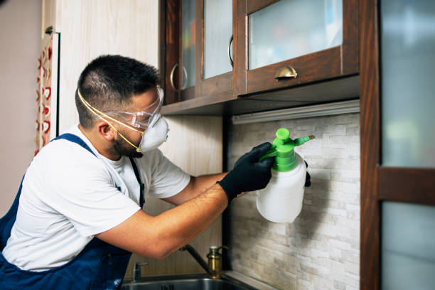 Best Pest Prevention Services  in Lake Barrington, IL