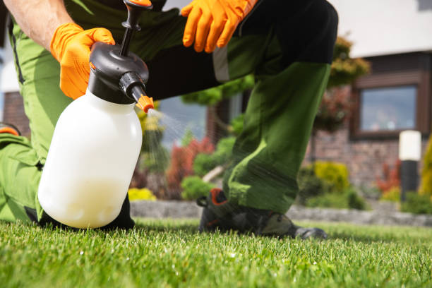 Best Rat Extermination Near Me  in Lake Barrington, IL