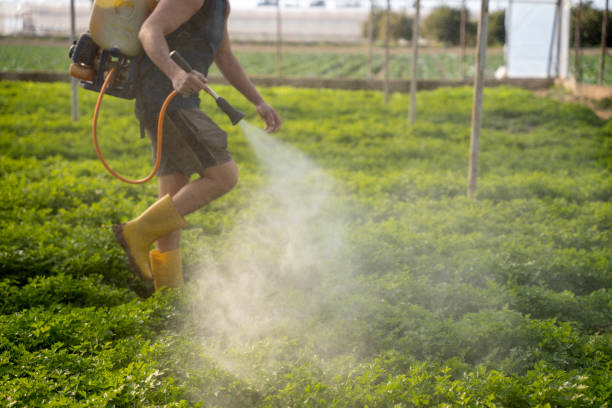 Best Pest Control Near Me  in Lake Barrington, IL