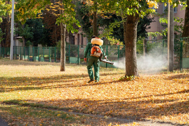 Best Affordable Pest Control Services  in Lake Barrington, IL