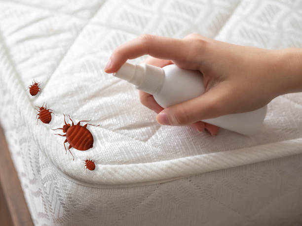 Best Emergency Pest Control  in Lake Barrington, IL