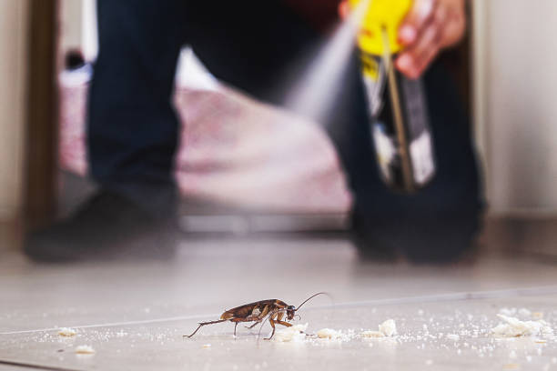 Pest Prevention Services in Lake Barrington, IL