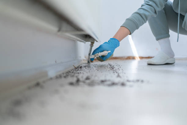 Best Ant Control Services  in Lake Barrington, IL