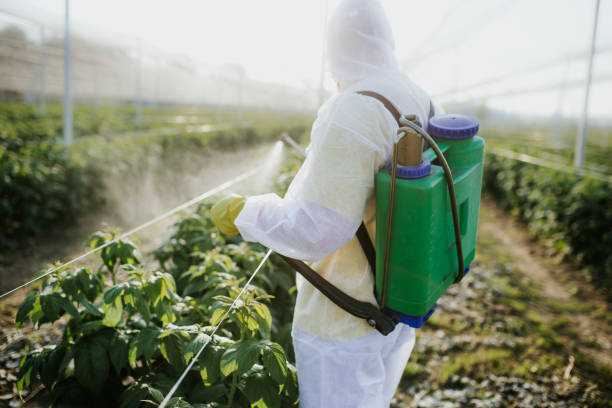 Best Best Pest Control Companies  in Lake Barrington, IL